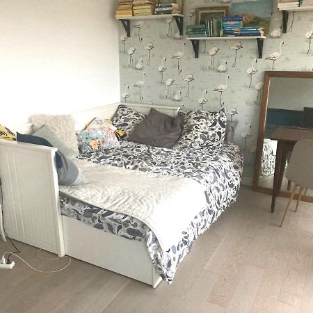 Appartement Lumineux 2 Chambres Ciboure Eksteriør bilde